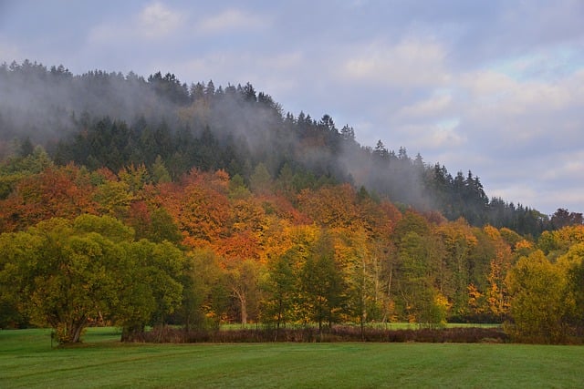 Free download nature wallpaper sunrise fall fog free picture to be edited with GIMP free online image editor