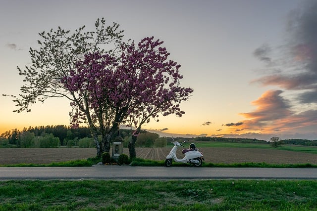 Free download nature wallpaper sunset vespa moped free picture to be edited with GIMP free online image editor