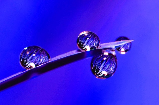 Free graphic nature water drops rain water drip to be edited by GIMP free image editor by OffiDocs