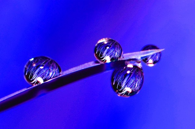 Free download nature water drops rain water drip free picture to be edited with GIMP free online image editor