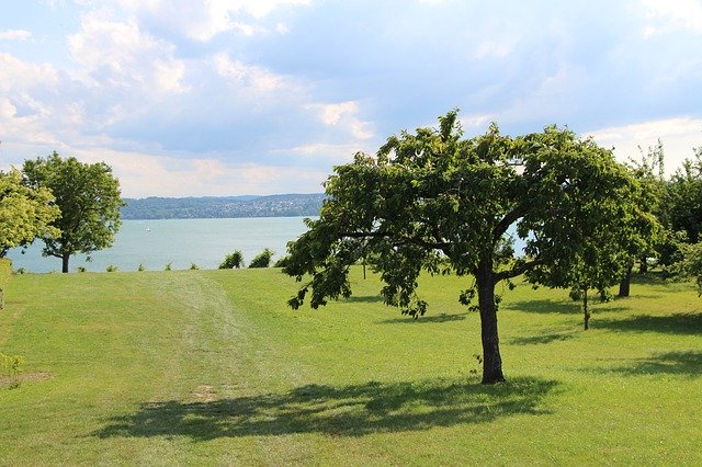 Free download Nature Water Lake Constance -  free photo or picture to be edited with GIMP online image editor