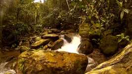 Free download Nature Water Stone -  free video to be edited with OpenShot online video editor