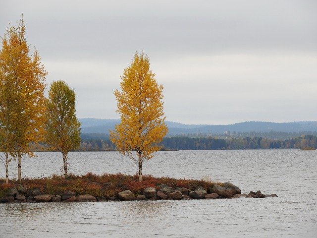 Free download Nature Yellow Lake -  free photo or picture to be edited with GIMP online image editor