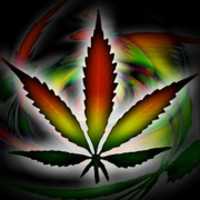 Free download nbd free photo or picture to be edited with GIMP online image editor