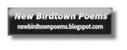 Free download NBP button free photo or picture to be edited with GIMP online image editor