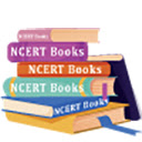 NCERT Books  screen for extension Chrome web store in OffiDocs Chromium