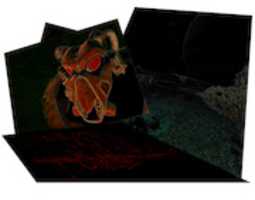 Free download Negative A free photo or picture to be edited with GIMP online image editor