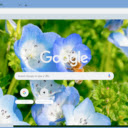 Nemophila  screen for extension Chrome web store in OffiDocs Chromium