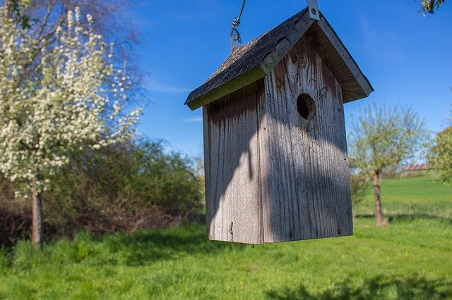 Unduh gratis Nesting Box Aviary Nest - foto atau gambar gratis untuk diedit dengan editor gambar online GIMP