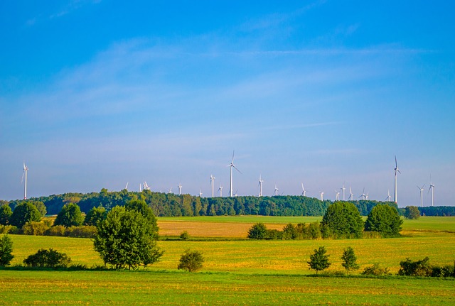 Free download ne summer wind turbines forest free picture to be edited with GIMP free online image editor