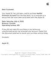 Free download Netflix_Premium free photo or picture to be edited with GIMP online image editor