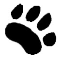 NetGoLynx  screen for extension Chrome web store in OffiDocs Chromium NetGoLynx  screen for extension Chrome web store in OffiDocs Chromium