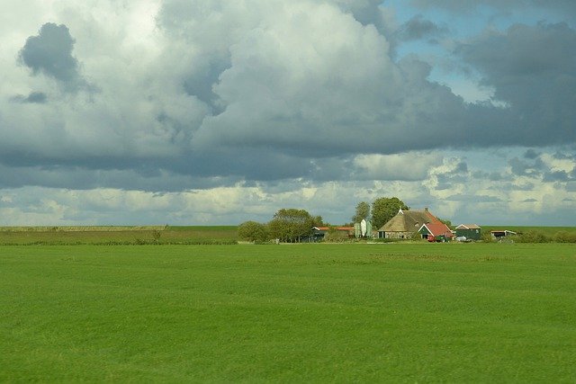 Kostenloser Download Niederlande Landschaftsfeld - kostenloses kostenloses Foto oder Bild zur Bearbeitung mit GIMP Online-Bildbearbeitung