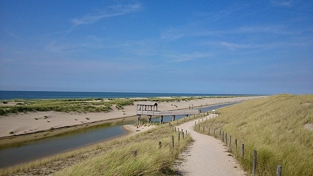 Free download Netherlands North Sea Dunes Bike -  free photo or picture to be edited with GIMP online image editor