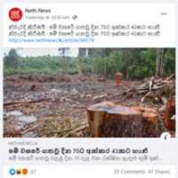 Free download Neth Repost free photo or picture to be edited with GIMP online image editor