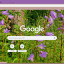 Nettle leaved Bellflower  screen for extension Chrome web store in OffiDocs Chromium