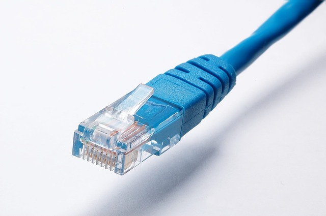 Free download network cable network cable data free picture to be edited with GIMP free online image editor
