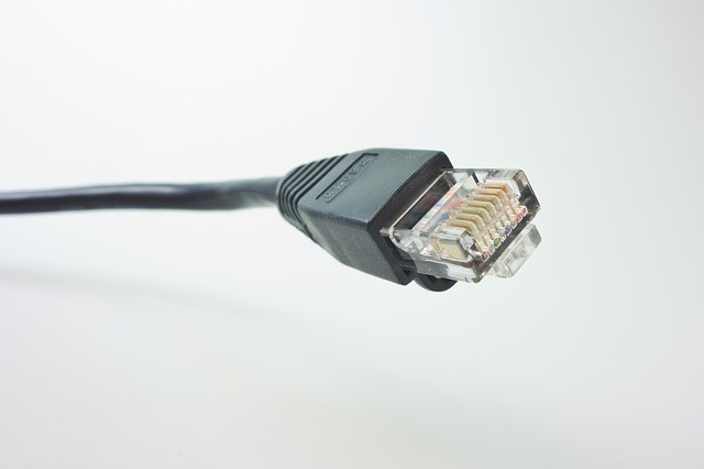 Free download network cable rj plug patch cord free picture to be edited with GIMP free online image editor