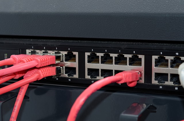 Free download network equipment hardware internet free picture to be edited with GIMP free online image editor