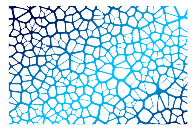 Free download Network Social Neurons Brain -  free illustration to be edited with GIMP free online image editor