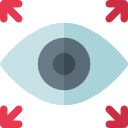 NetX wrapped  screen for extension Chrome web store in OffiDocs Chromium