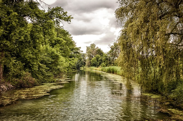Free download neuburg am rhein green hdr free picture to be edited with GIMP free online image editor