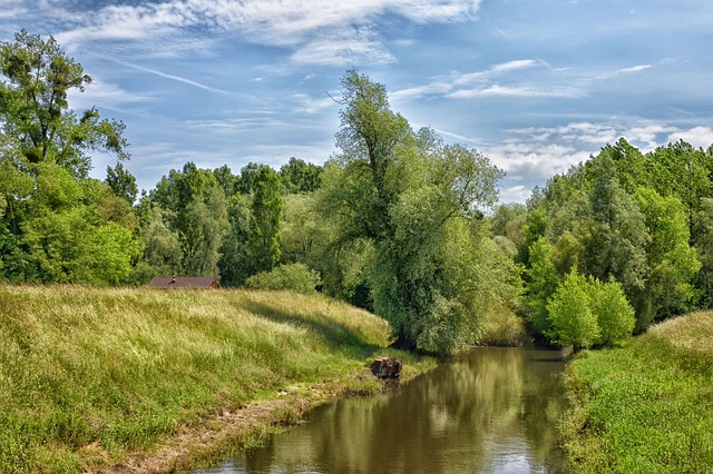 Free download neuburg am rhein green nature free picture to be edited with GIMP free online image editor