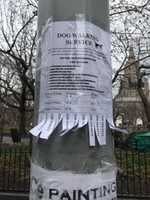 Free download New dog walker free photo or picture to be edited with GIMP online image editor