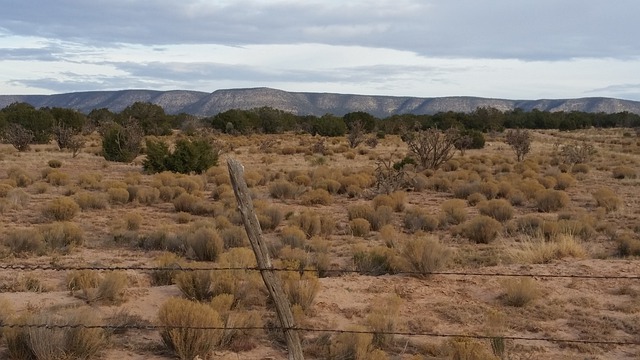 ดาวน์โหลดฟรี new mexico nm fence usa sky ฟรีรูปภาพที่จะแก้ไขด้วย GIMP โปรแกรมแก้ไขรูปภาพออนไลน์ฟรี