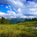 New Tab Nature  screen for extension Chrome web store in OffiDocs Chromium