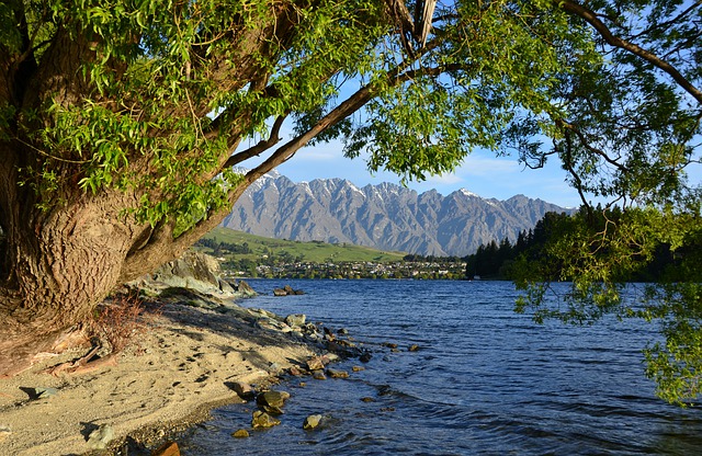 Free download new zealand lake wakatipu tree free picture to be edited with GIMP free online image editor