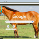 Ngua  screen for extension Chrome web store in OffiDocs Chromium