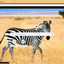 Ngua Van  screen for extension Chrome web store in OffiDocs Chromium