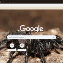 Nhen Doc  screen for extension Chrome web store in OffiDocs Chromium