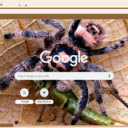 Nhen Hoang Da  screen for extension Chrome web store in OffiDocs Chromium
