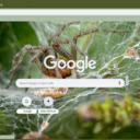 Nhen Mat Liem  screen for extension Chrome web store in OffiDocs Chromium