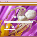 Nhen Trang  screen for extension Chrome web store in OffiDocs Chromium