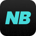 NicheBay Product Importer  screen for extension Chrome web store in OffiDocs Chromium