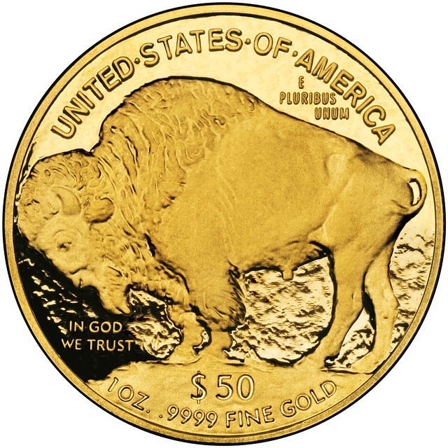 Free download nickel 24 karat coin gold bull free picture to be edited with GIMP free online image editor