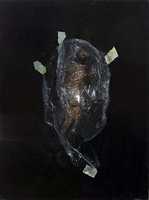 Free download nicola samori free photo or picture to be edited with GIMP online image editor