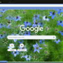 Nigella Damascena  screen for extension Chrome web store in OffiDocs Chromium