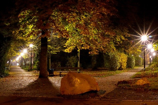 Free download Night Autumn Park -  free free photo or picture to be edited with GIMP online image editor