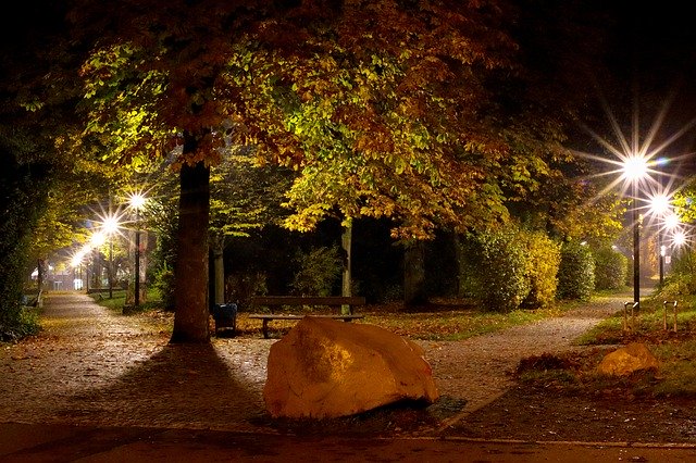 Download gratuito Night Autumn Park: foto o immagini gratuite da modificare con l'editor di immagini online GIMP