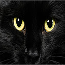 NightBits Chrome Black Style!  screen for extension Chrome web store in OffiDocs Chromium