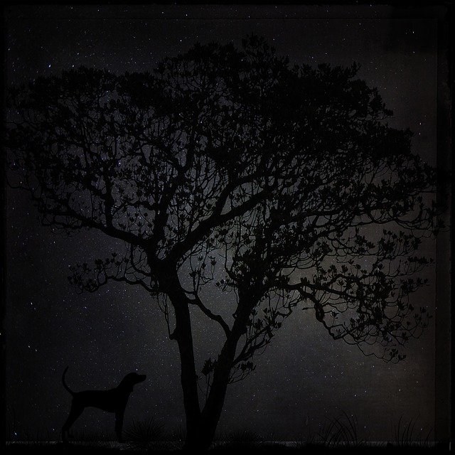 Free download Night Dark Landscape -  free illustration to be edited with GIMP free online image editor