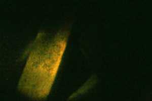 Free download Night Dive 8-07 free photo or picture to be edited with GIMP online image editor