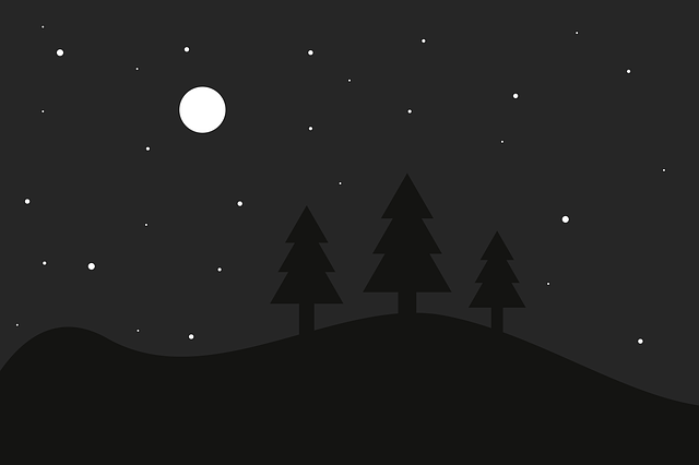 Free download Night Full Moon Star -  free illustration to be edited with GIMP free online image editor