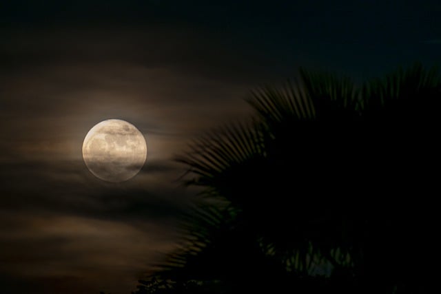 Free download night moon darling dusk clouds free picture to be edited with GIMP free online image editor