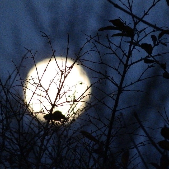 دانلود رایگان Night Moon Moonlight - عکس یا تصویر رایگان قابل ویرایش با ویرایشگر تصویر آنلاین GIMP