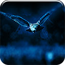 Night Owl  screen for extension Chrome web store in OffiDocs Chromium